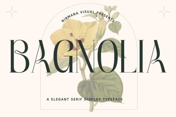 Bagnolia Typeface Review: A Contemporary Display Font for Modern Branding