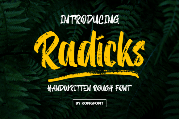 Radicks: A Cursive Brush Display Font for Romantic Editorial Design